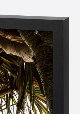 Black Frame