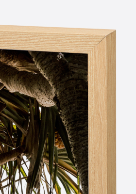 Oak Frame